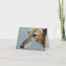 Greyhound-fotokort (p291) kort