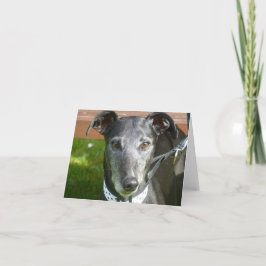 Greyhound-fotokort (p4) kort