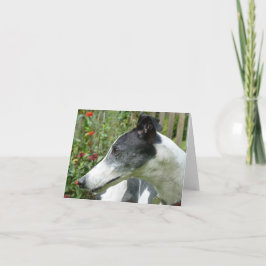 Greyhound-fotokort (p5) kort