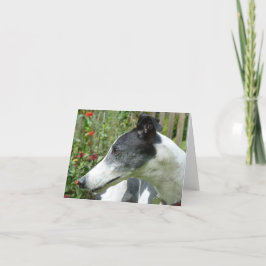 Greyhound-fotokort (p5) kort