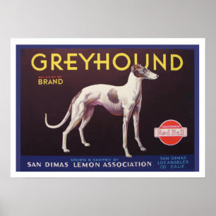 Greyhound Fruit Låda-etikett Poster