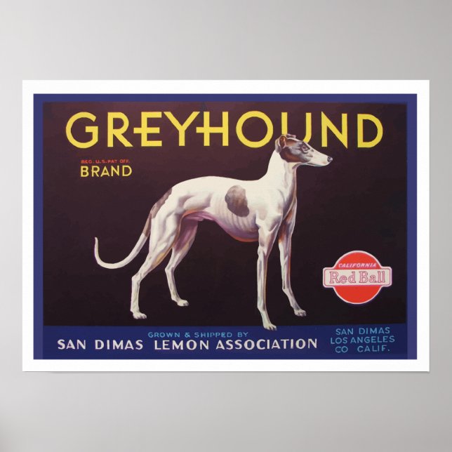 Greyhound Fruit Låda-etikett Poster (Framsidan)