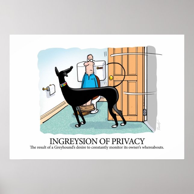 Greyhound Glossary Ingreysion of Privacy Poster (Framsidan)