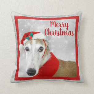 Greyhound God jul Kudde