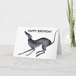 GREYHOUND GRATTIS PÅ FÖDELSEDAGEN KORT