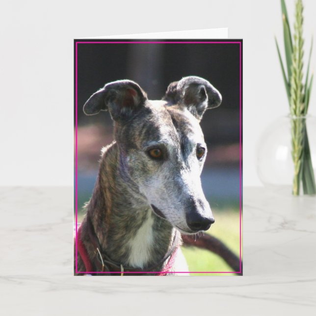 Greyhound-hälsningskort Kort (Framsida)