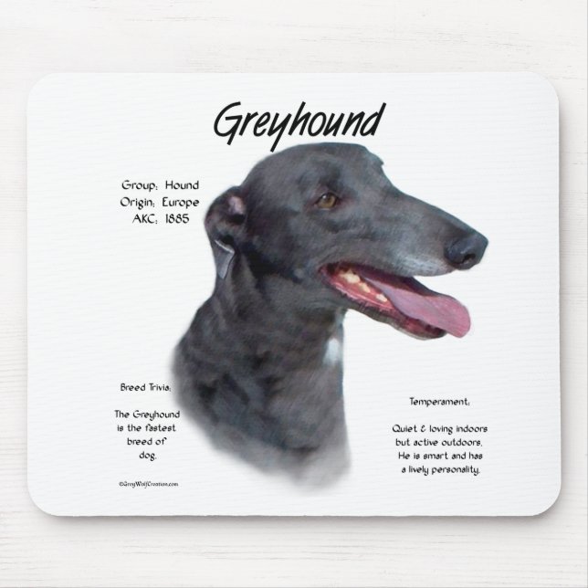 Greyhound-historikdesign Musmatta (Framsidan)