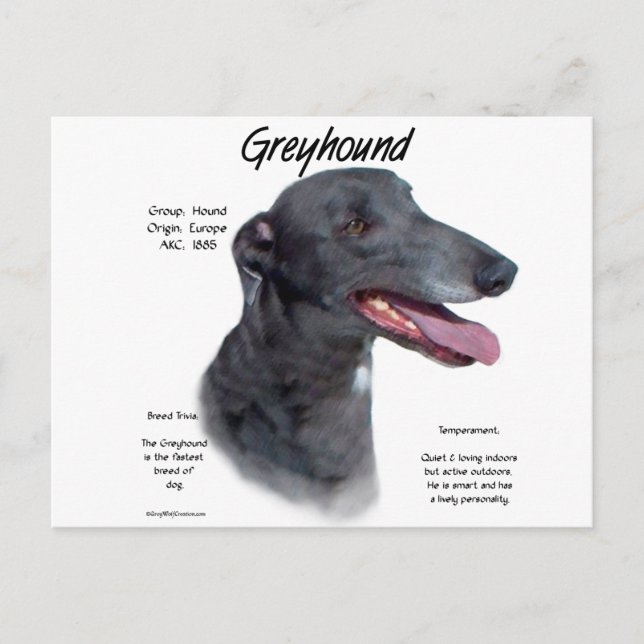 Greyhound-historikdesign Vykort (Framsida)