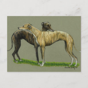 "Greyhound Hug" Hund Art-vykort Vykort