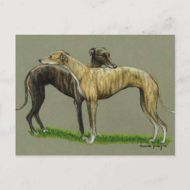 "Greyhound Hug" Hund Art-vykort Vykort (Framsida)