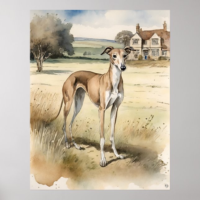 Greyhound - Hund Art-utskrift Poster (Framsidan)