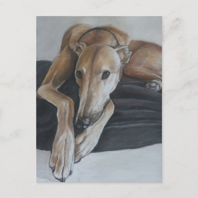 Greyhound Hund Art-vykort Vykort (Framsida)