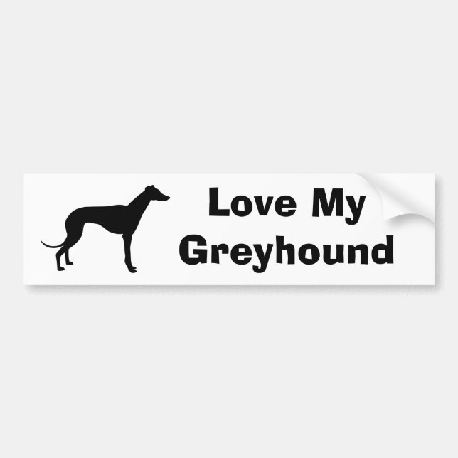 greyhound-hund bildekal (Framsidan)