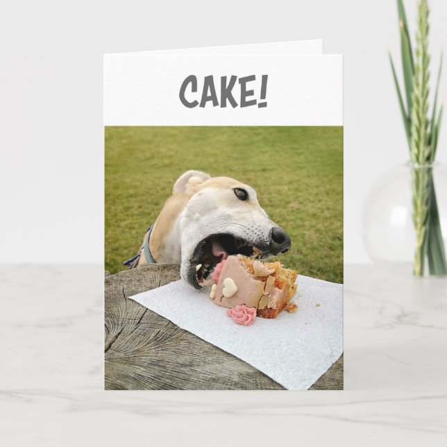 Greyhound Hund Birthday Cake Card Helgkort (Framsida)