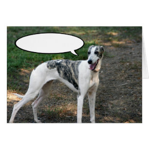 Greyhound Hund Hälsningskort