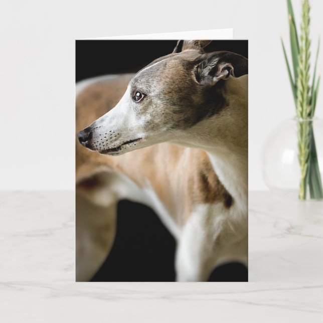 Greyhound Hund-hälsningskort Kort (Framsida)