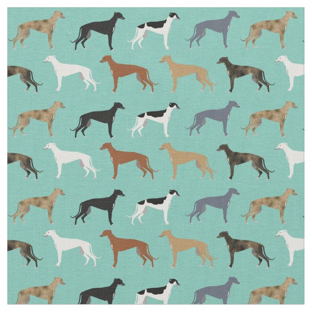 greyhound hund mynta tyg (Närbild)