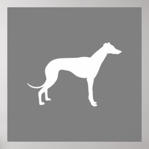 Greyhound Hund Poster