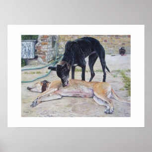 greyhound hund realist djurart poster