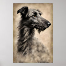 Greyhound Hund Sketch