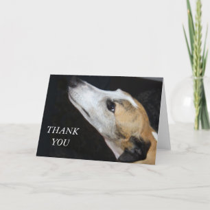 Greyhound Hund tackkort