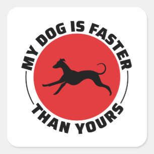 Greyhound Hund Tävla Pet Tävling Animal Racer Fyrkantigt Klistermärke