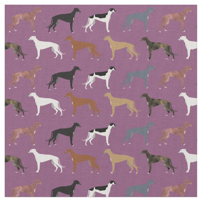 greyhound hundar jackar färger lila tyg (Närbild)