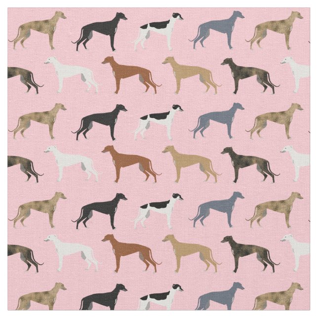 greyhound hundar jackar färger rosa tyg (Närbild)