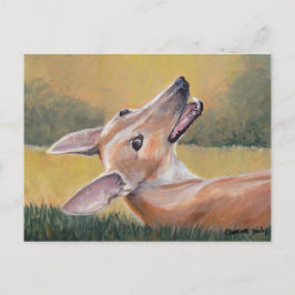 Greyhound i Grass Hund Art Postcard Vykort