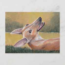 Greyhound i Grass Hund Art Postcard Vykort