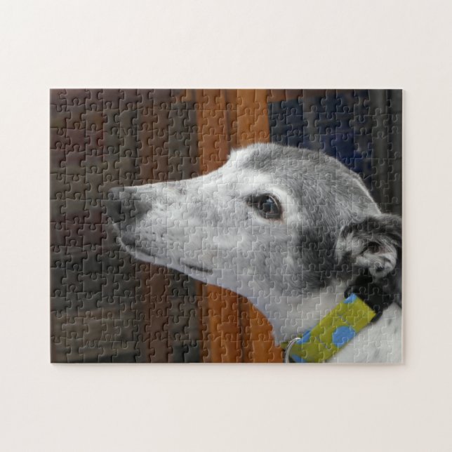 Greyhound jigszawpuzzel pussel (Horisontell)