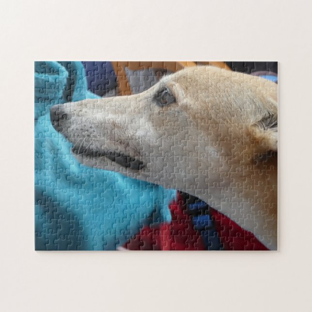 Greyhound jigszawpuzzel pussel (Horisontell)