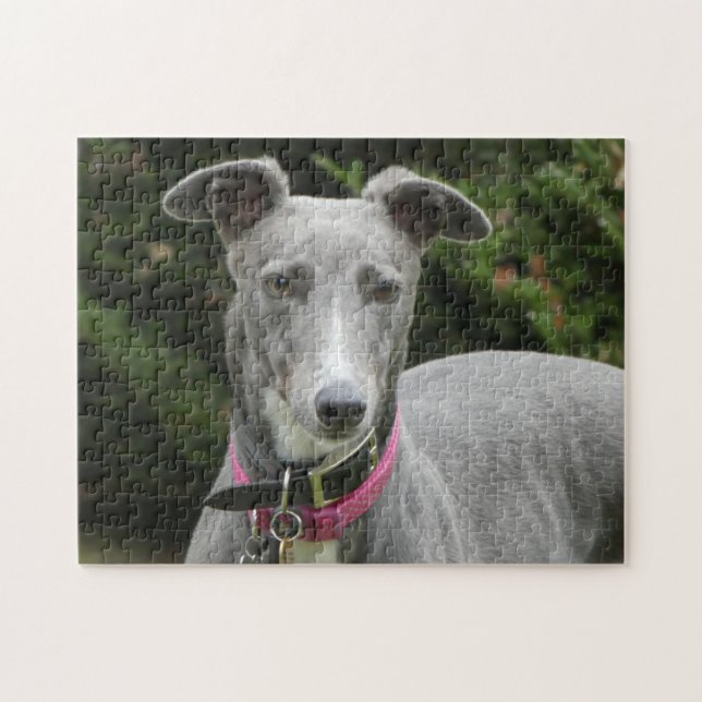 Greyhound jigszawpuzzel pussel (Horisontell)
