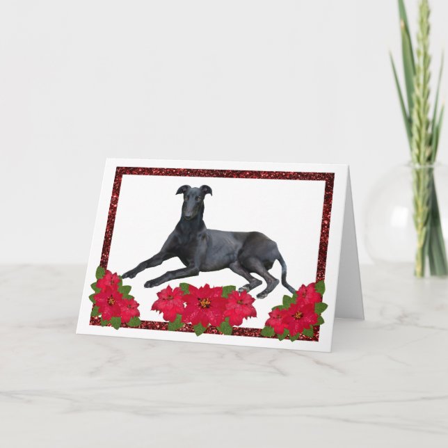 Greyhound jul Poinsettia Helgkort (Framsida)