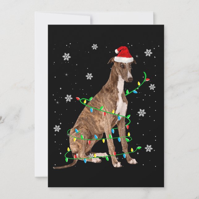 greyhound julbelysning söt tomte greyhound julkort (Framsida)