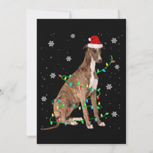 greyhound julbelysning söt tomte greyhound julkort