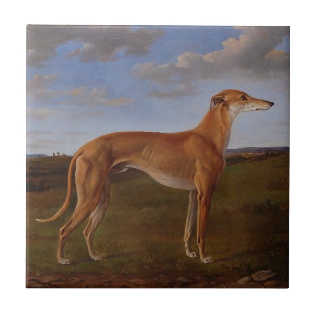 Greyhound Kakelplatta (Framsidan)
