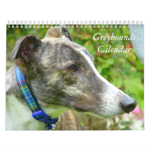 Greyhound-kalender Kalender
