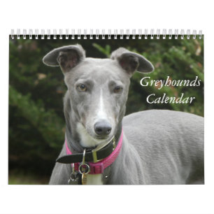 Greyhound-kalender Kalender