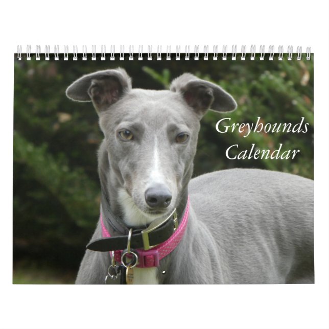 Greyhound-kalender Kalender (Omslag)