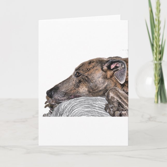 greyhound kort (Framsida)