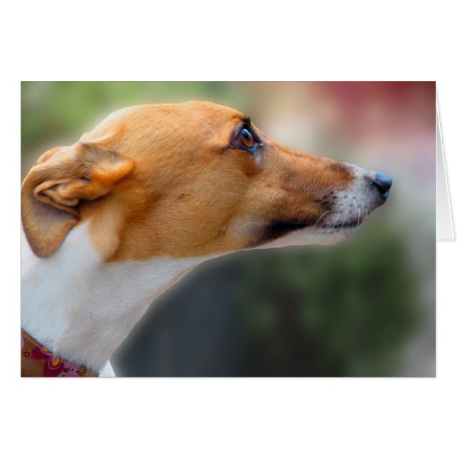 Greyhound-kort OBS Kort (Framsidan Horizontal)