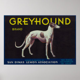 Greyhound Lemon LabelSan Dimas, CA Poster