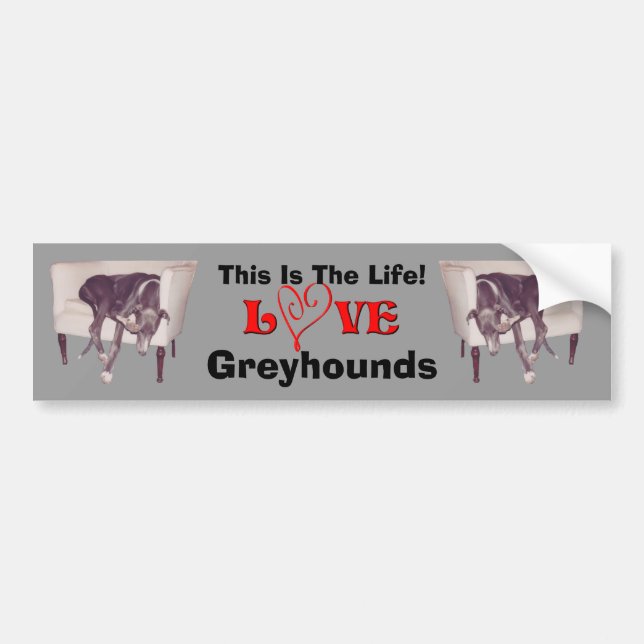 Greyhound Love This Is The Life Cute  Bildekal (Framsidan)