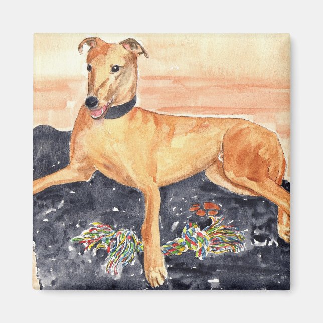 Greyhound Magnet (Framsidan)