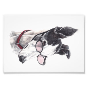 Greyhound med Glass Photo Art Print Fototryck