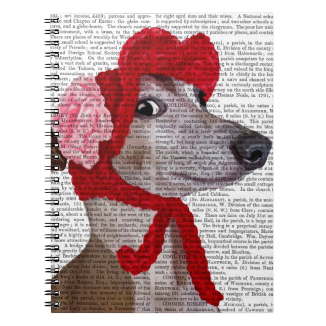 Greyhound med Red Wooly Hat 2 Anteckningsbok Med Spiral (Framsidan)