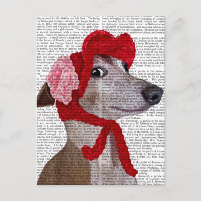 Greyhound med Red Wooly Hat 2 Vykort (Framsida)