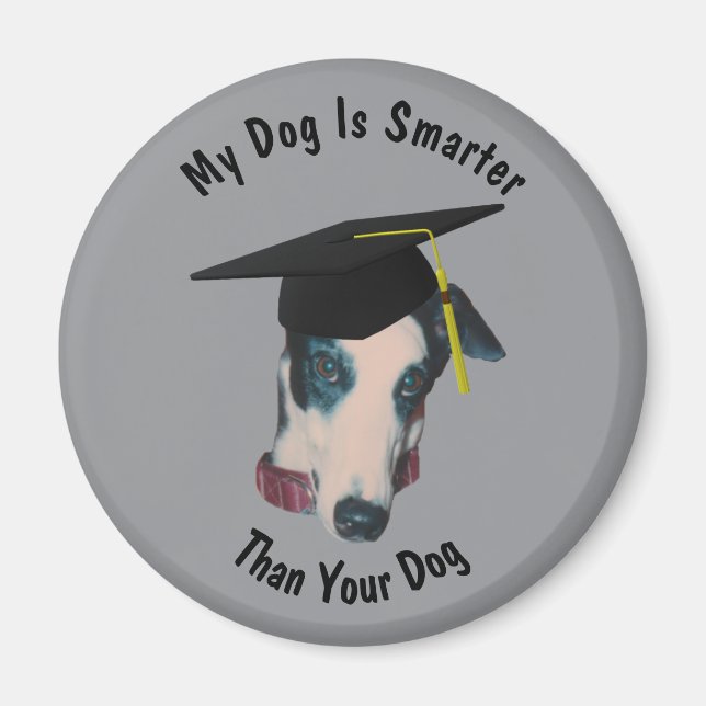 Greyhound My Dog Is Smarter Than Yours Funny Magnet (Framsidan)