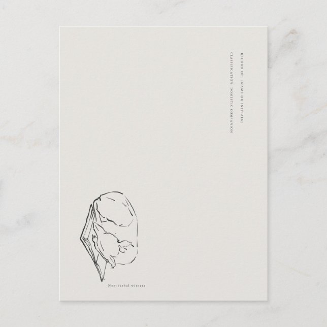 Greyhound- Naturalist Menagerie Archive  Vykort (Framsida)